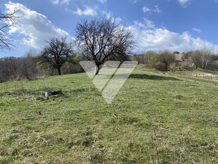 Teren Extravilan de 6630 mp - Cisnadioara - 4