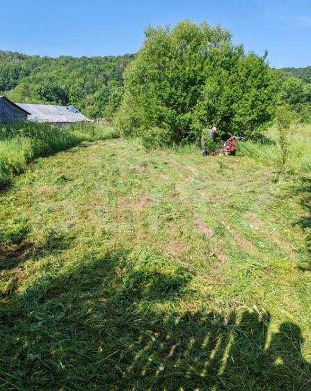 Teren intravilan 4.183 mp Cobia, sat Mislea ie?ire - 6