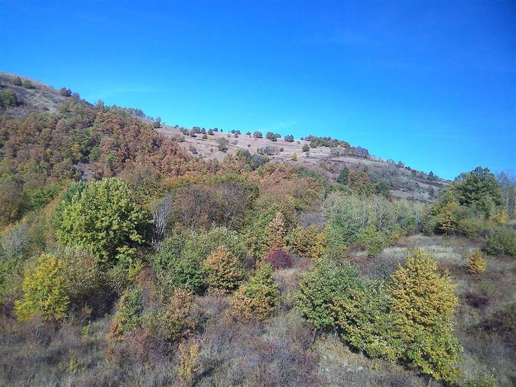 Teren extravilan de 12166 mp, în Vălișoara
