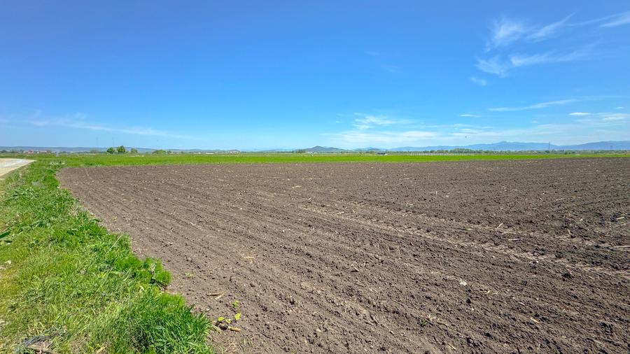 Teren intravilan, 1.7 hectare, Stupini Strada Barsei - 11