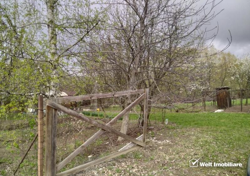 Teren constructii , drum de acces, Salicea - 2