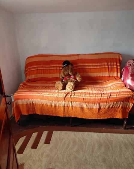 Casa 3 camere zona munte Bozioru, Buzau - 4