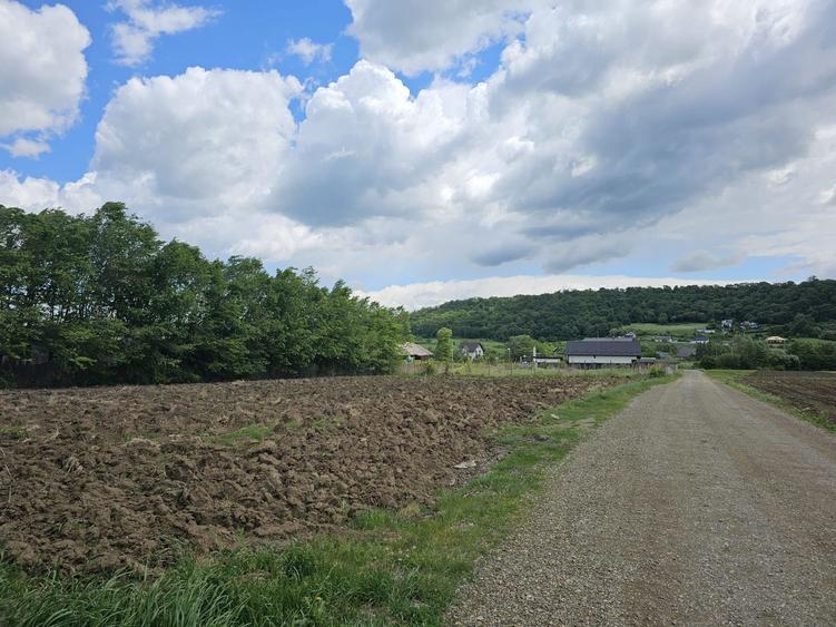 Teren de vanzare la iesire din Suceava spre Mitoc - 3