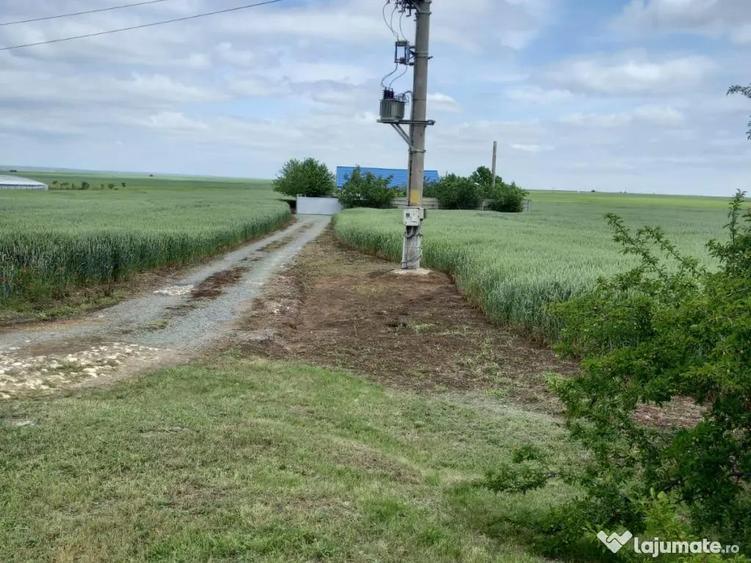 Vand casa in Corbu, jud. Constanta - 3