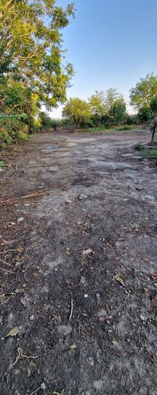 Vand/schimb teren intravilan in gradistea - 2