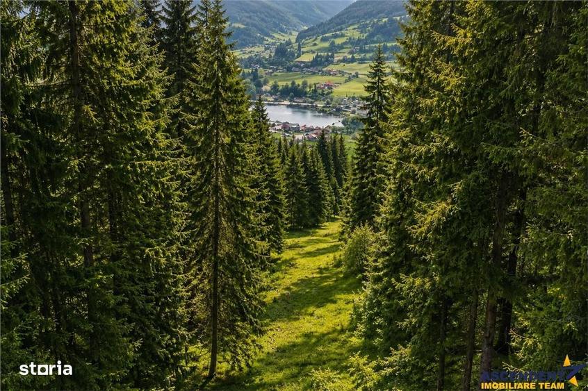 FILM!Teren 7.800mp,fosta partie de schi,investitie turisticaagrement,L - 1