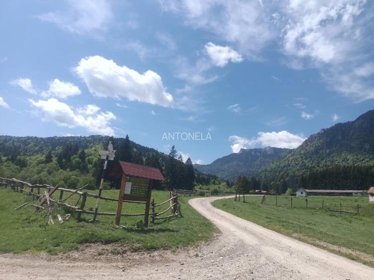 Vnd teren la munte, zona foarte frumoasă Vnd teren la munte, zona foarte frumoasă