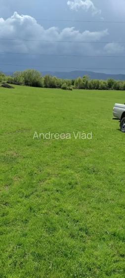 Teren extravilan 2.500 mp - Cisnadie - ideal pentru dezvoltare - Parcelabil