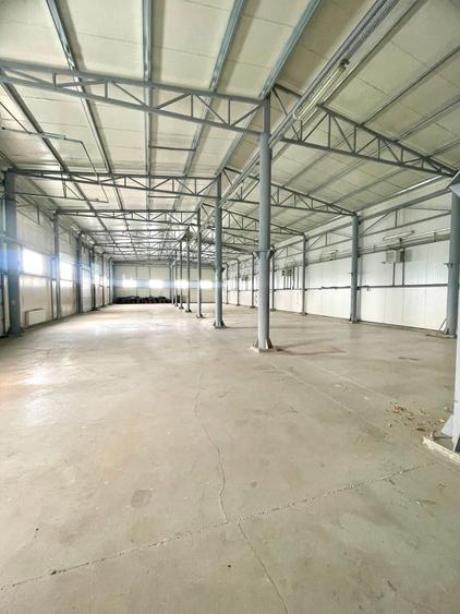 Hala - Pantelimon - Centura București - DN3 - A0 - 1