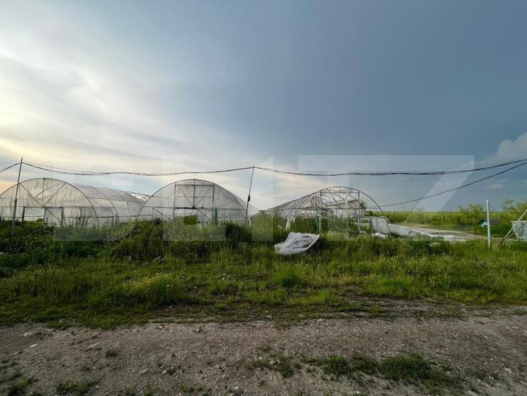 Teren partial intravilan 23.500 mp, apa, curent si supraveghere video, Bucovat - 3