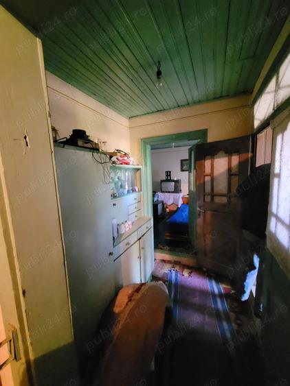 Casa 3 camere Dridu - 9