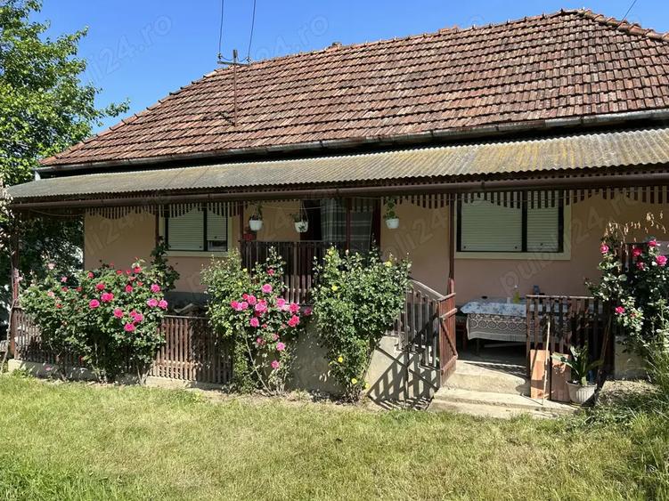 Vand casa de caramida sat Bodesti -comuna Halmagiu Arad - 1