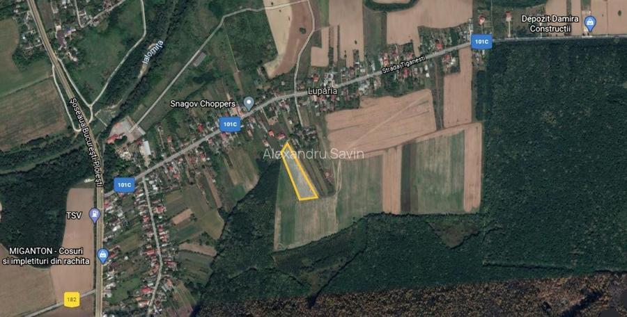 Teren 7500 m² de vanzare in Ciolpani