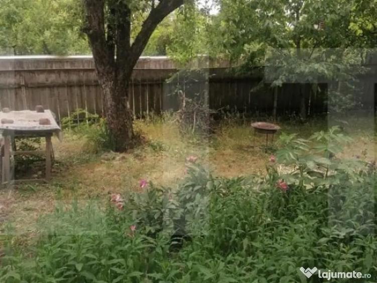 Casa batraneasca de vanzare Brae?ti, jude?ul Bot - 3