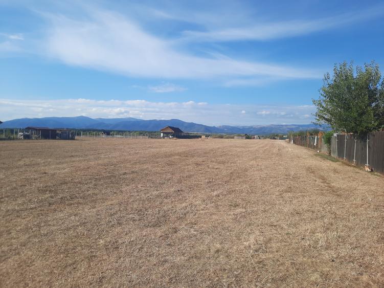 Teren agricol extravilan de 1500 mp, în Șelimbăr