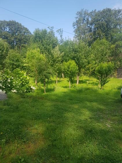 Casă cu 4 camere cu Teren 800 Mp în Avrig