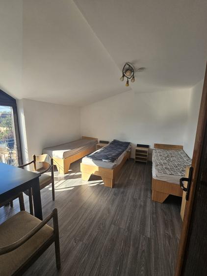 Proprietate speciala Dumbravita - casa individuala !! - 3