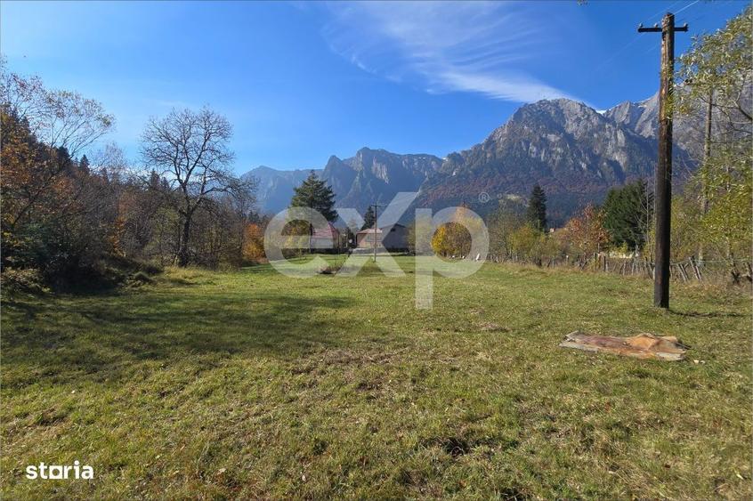 Teren intravilan in Busteni, cu vedere spectaculoasa spre Crucea Carai - 10