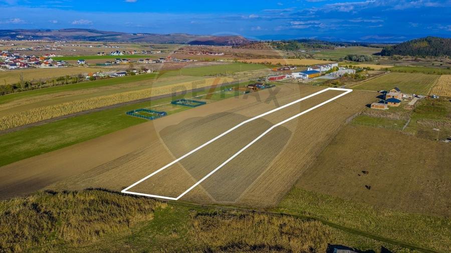 COMISION 0% Teren Sanpetru 8900 mp/ Intravilan/ 8 loturi - 2