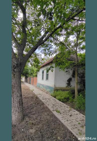 Casa de vinzare Rovenita Mare (comuna Denta) - 2