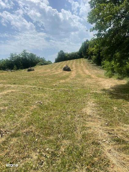 Teren extravilan de vanzare -faneata - 2