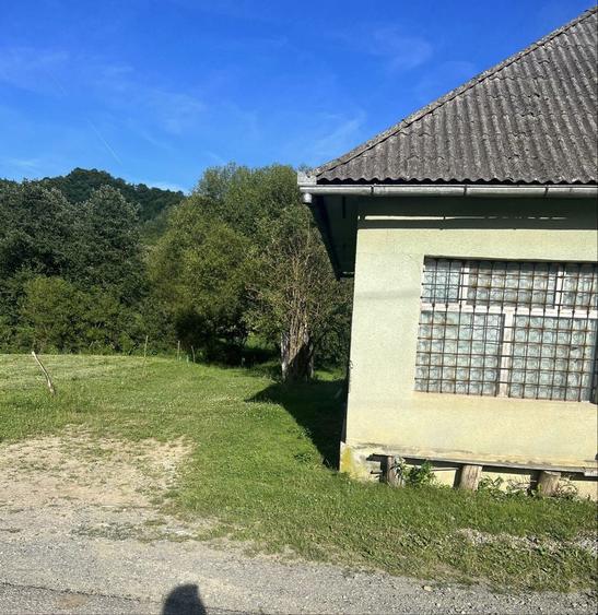 Casa + teren + padure sat Moliset, jud Bistrita Nasaud - 4