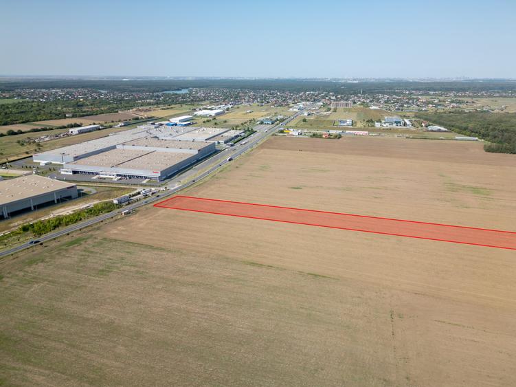 Teren Vanzare Intravilan Branesti - Investitie Zona Industriala Vis a Vis Makita - 8