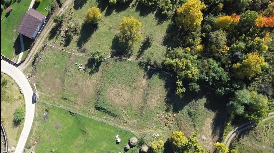 Teren Construcții intravilan de 3500 mp, în Cacica