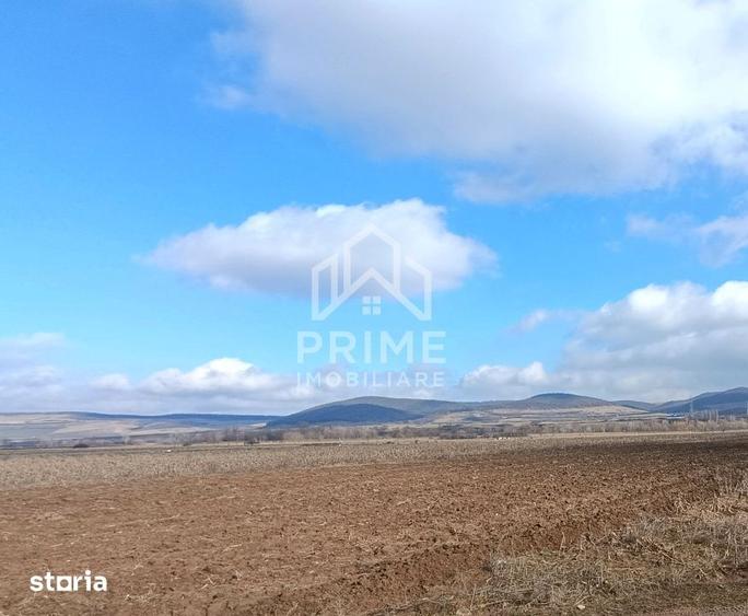 Teren de 5200 mp, în Bărăbanț