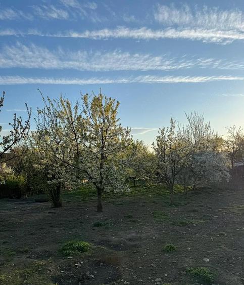 Vand casa cu gradina in Vanju-Mare jud. MH, situata intr-o zona buna si linistita a orasului. - 1