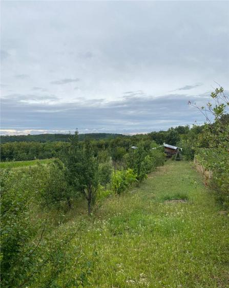 RECO Casa cu teren in Hidiselul de Sus - 7