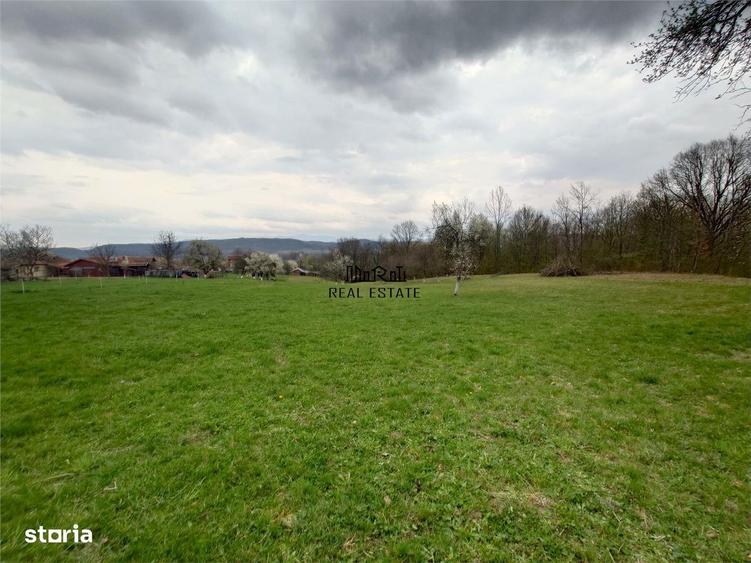 10 000 mp teren intravilan cu priveliste - 1