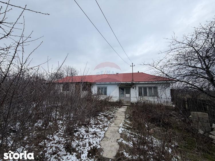 Casa Dumbraveni strada viilor 20 - 10