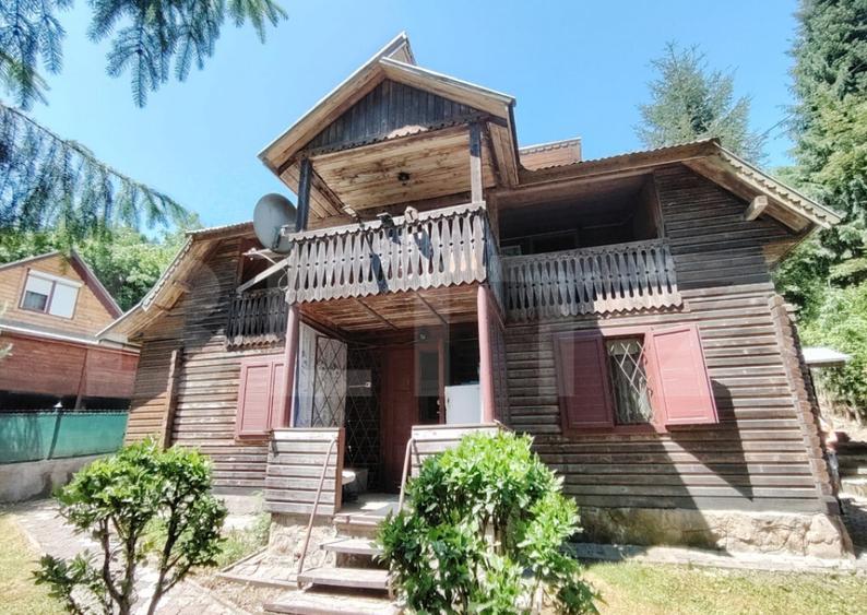 Cabana 5 camere Salard - 10