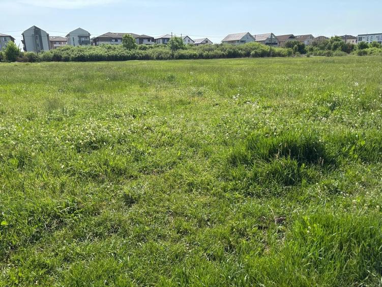 Teren 1239 mp front 29 in Aradul nou - 8