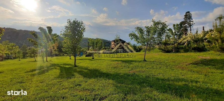 Teren cu PUZ - Tabara de Vacanta + Constructie Tiny Hous | 10 Cabane - 5