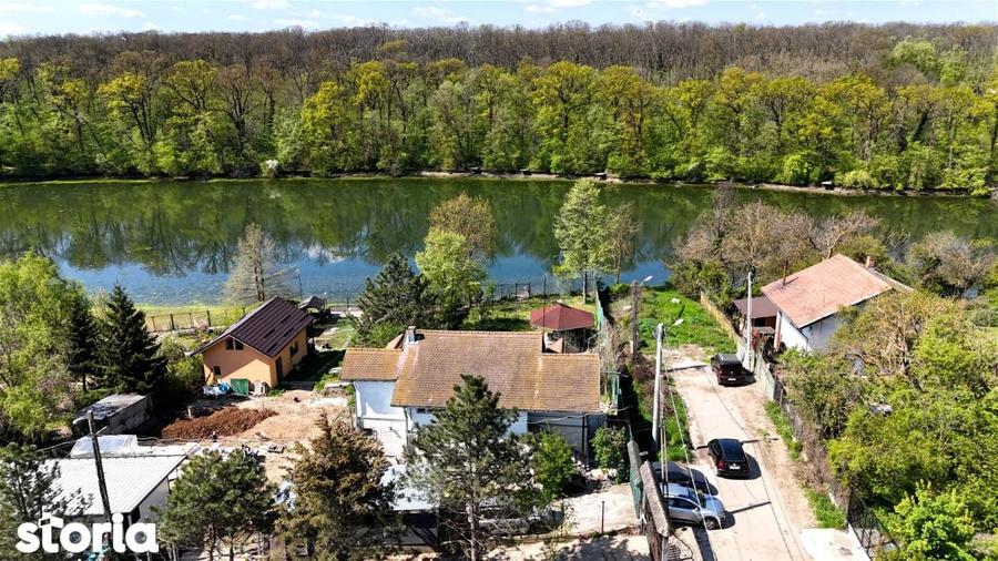 Vila pe lac cu vedere la padure - Pasarea - Branesti - 5