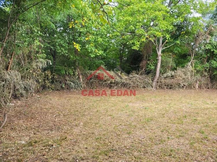 Teren intravilan in Banesti--2093mp--59.000e - 13