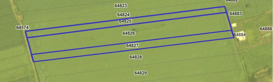 Teren intravilan de vanzare Balotesti, Ilfov (DIRECT PROPRIETAR) - 1