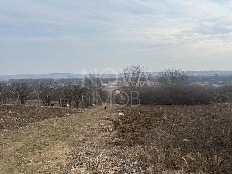 Teren de vanzare in Ocna Sibiului – Locatie premium langa lacurile sarate - 4