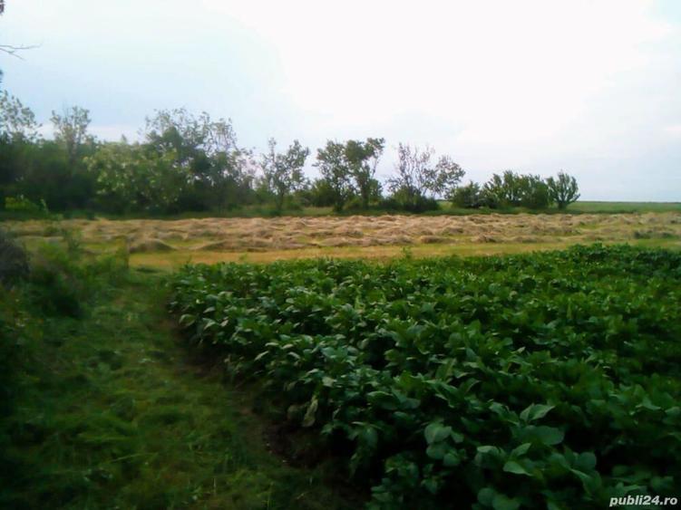 Casa de vanzare cu teren mare in satul Bolovani, 45km Bucure?ti - 10