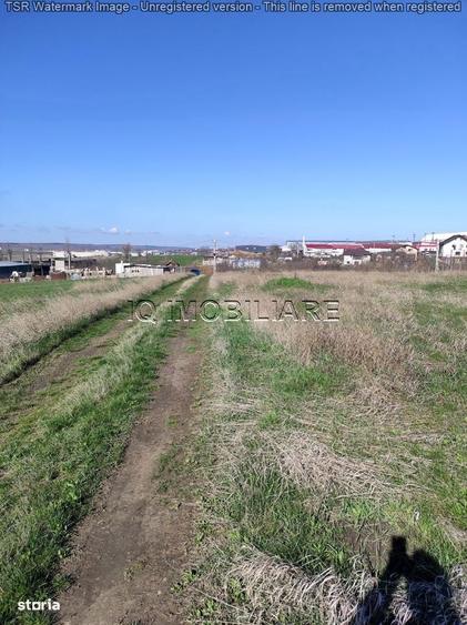 Teren intravilan industrial, iesire Pacurari, zona reprezentanta Skoda - 5