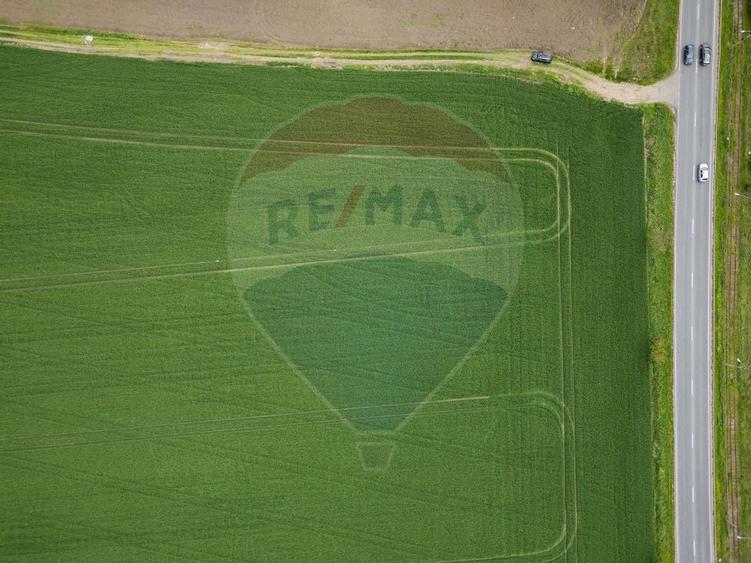 Teren 30,000mp Arad / Soseaua Centura Arad Nord - 6