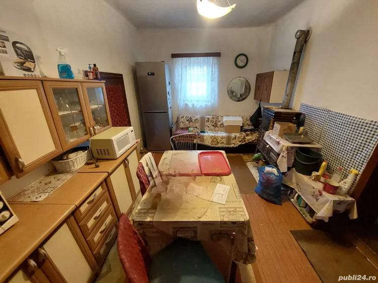 Vand casa batraneasca langa Lugoj - 1