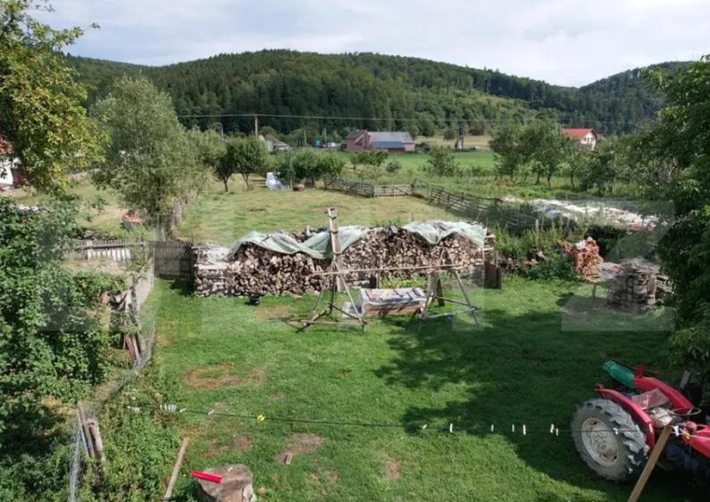 Doua case + anexa, teren 1655mp, Vama Buzaului (Acris) - 5