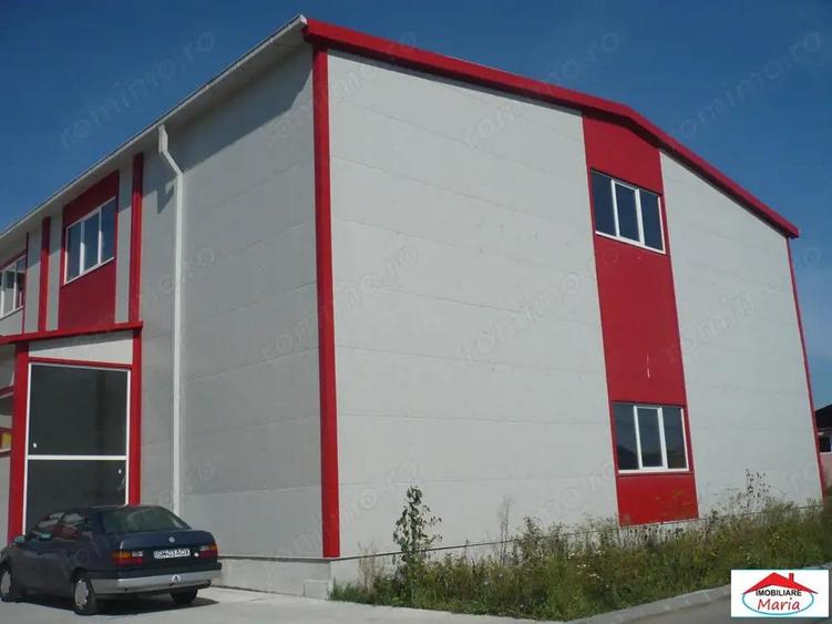 Hala de productie depozitare Satu Mare 1880 mp - 6