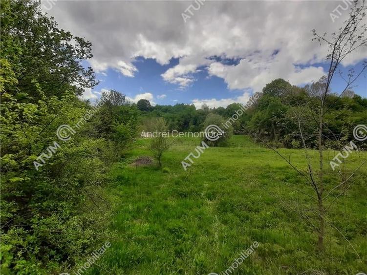 Teren intravilan 2750 mp in Avrig zona Valea Avrigului Teren intravilan 2750 mp in Avrig zona Valea Avrigului