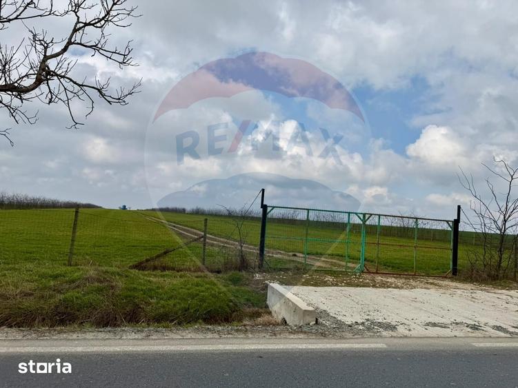 Teren de 60000 mp, în Săcele