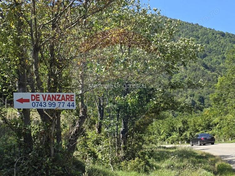 Teren 4,000mp Pascoaia / Soseaua Punctul Chiliilor