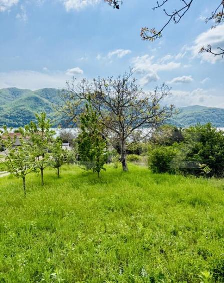 Cabana din lemn, 37 mp, Liubcova - 12